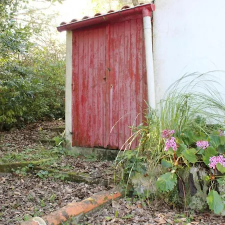 Maison calme à 300m de la plage avec véranda et grand jardin - FR-1-246A-367 * La Cotinière