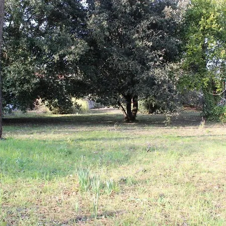 Maison calme à 300m de la plage avec véranda et grand jardin - FR-1-246A-367 Сasa de vacaciones La Cotinière
