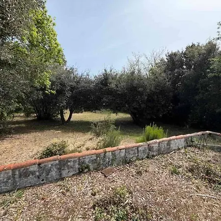 Maison Calme A 300m De La Avec Veranda Et Grand Jardin - Fr-1-246a-367 Tatil Evi La Cotinière