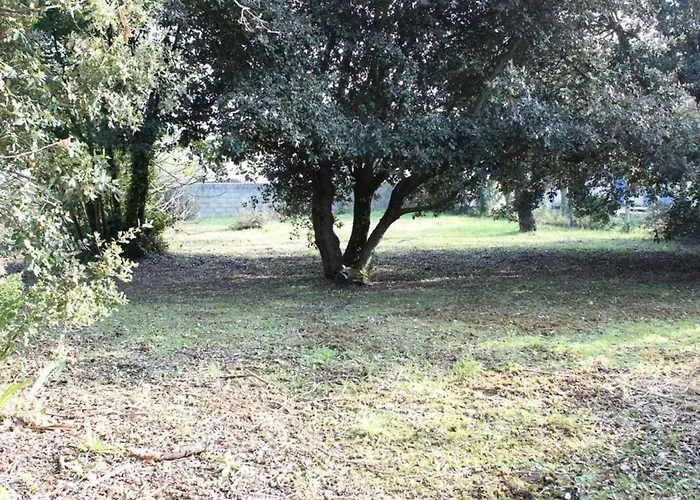 Maison calme à 300m de la plage avec véranda et grand jardin - FR-1-246A-367 Сasa de vacaciones