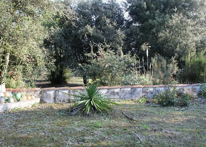 Сasa de vacaciones Maison calme à 300m de la plage avec véranda et grand jardin - FR-1-246A-367